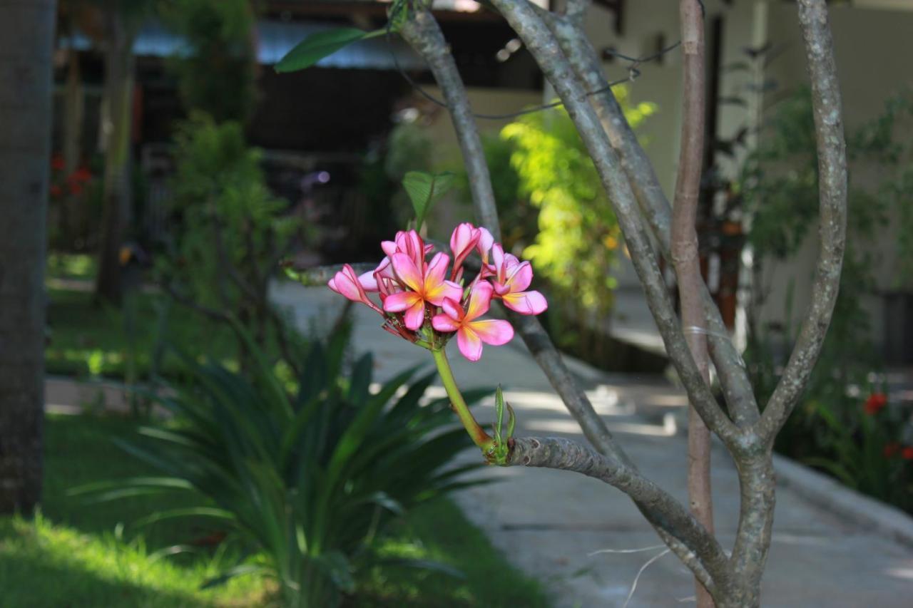 Herry Homestay Kuta  エクステリア 写真