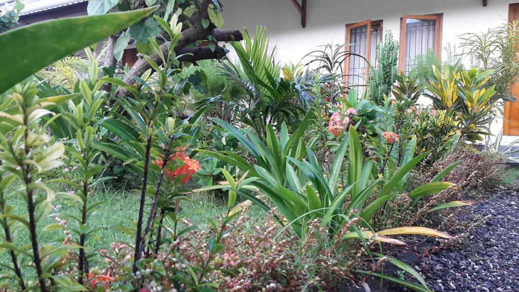Herry Homestay Kuta  エクステリア 写真