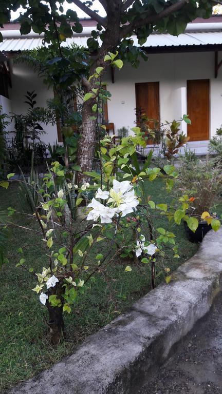 Herry Homestay Kuta  エクステリア 写真