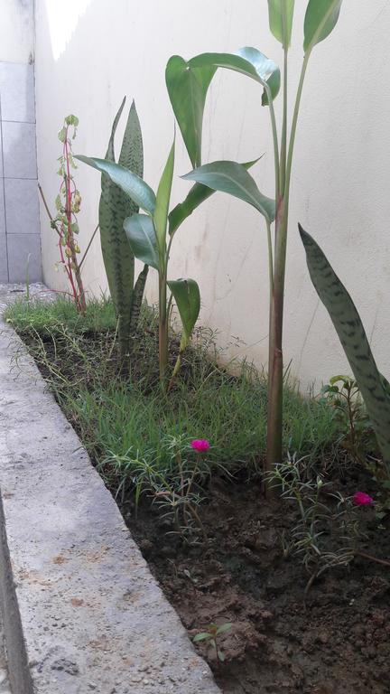 Herry Homestay Kuta  エクステリア 写真