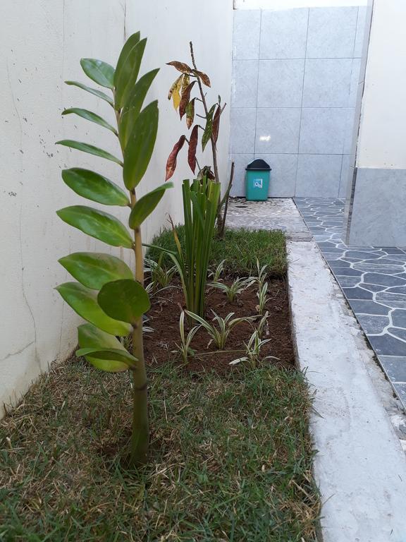 Herry Homestay Kuta  エクステリア 写真